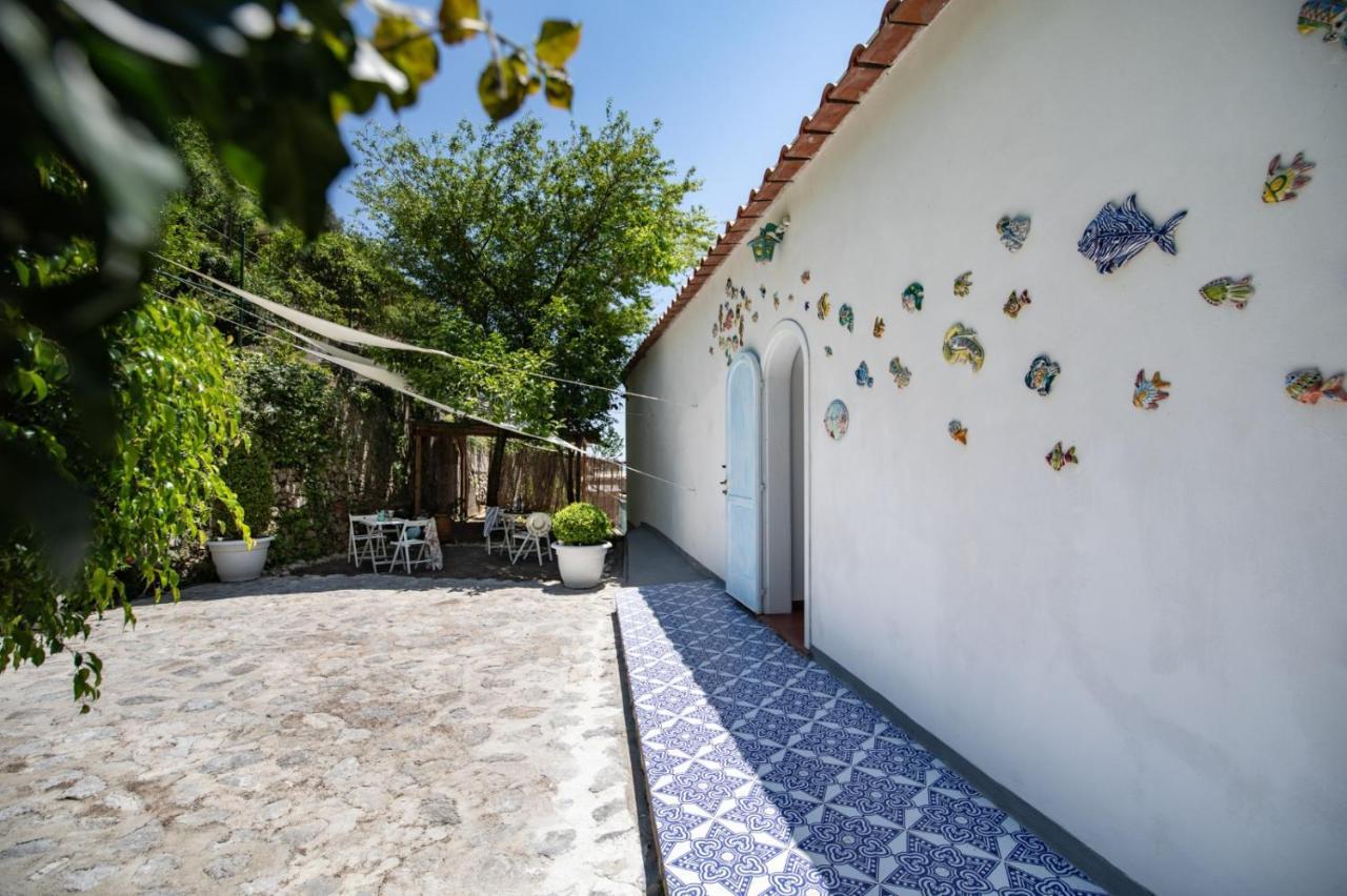 B&B Dormidame' Positano Exterior photo